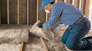 Best Blown-In Insulation  in Dublin, GA